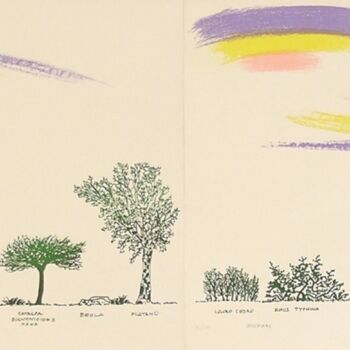 Incisioni, stampe intitolato "Un viale di alberi…" da Bruno Munari, Opera d'arte originale, Serigrafia