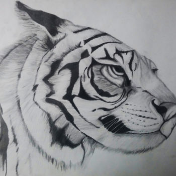 Rysunek zatytułowany „O Tigre” autorstwa Bruno Cardoso, Oryginalna praca, Grafit