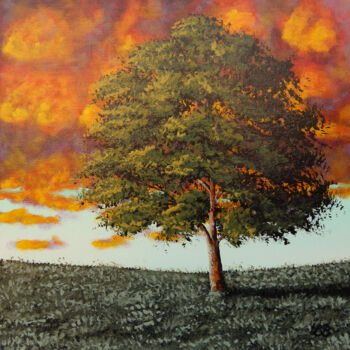 Peinture intitulée "Le ciel en feu" par Bruno Lemasson, Œuvre d'art originale, Acrylique