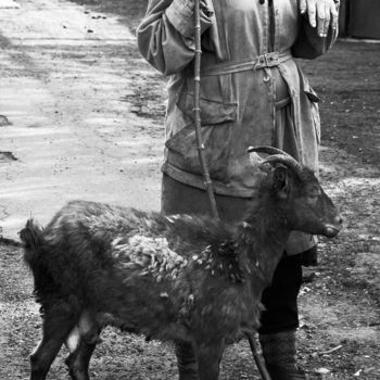 Fotografia intitolato "goat" da Bubon, Opera d'arte originale, Altro