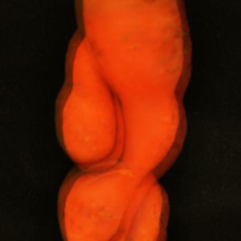 「phsy-carrot」というタイトルの写真撮影 Bubonによって, オリジナルのアートワーク