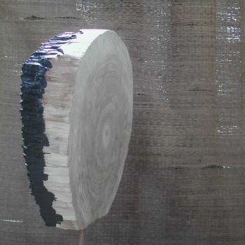 Γλυπτική με τίτλο "yin-yang pile" από Alain Buisson, Αυθεντικά έργα τέχνης
