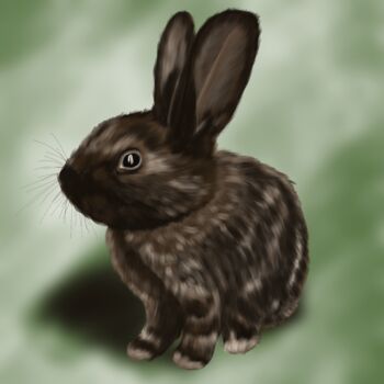 Arts numériques intitulée "Кролик" par Bushik, Œuvre d'art originale, Travail numérique 2D