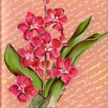 Rysunek zatytułowany „orchidée'Wanda'” autorstwa Butterflymoon, Oryginalna praca