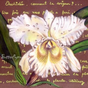 "orchidée 'Queen sir…" başlıklı Resim Butterflymoon tarafından, Orijinal sanat