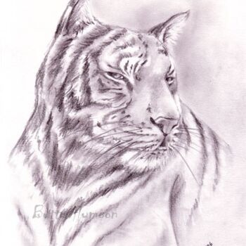 Dessin intitulée "Tigre" par Butterflymoon, Œuvre d'art originale