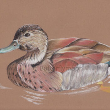 Dessin intitulée "Canard2010" par Butterflymoon, Œuvre d'art originale