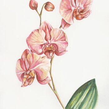Pintura titulada "Orchidée" por Butterflymoon, Obra de arte original