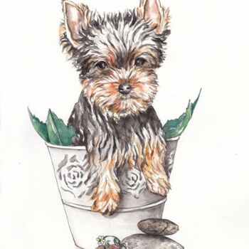 Pintura intitulada "Yorkshire Terrier" por Butterflymoon, Obras de arte originais