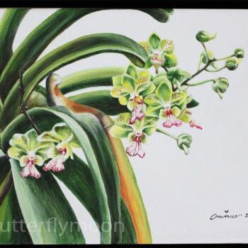 Malarstwo zatytułowany „orchidée 5” autorstwa Butterflymoon, Oryginalna praca