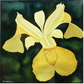 Painting titled "Iris jaune" by Bertrand Gromy, Original Artwork, Oil