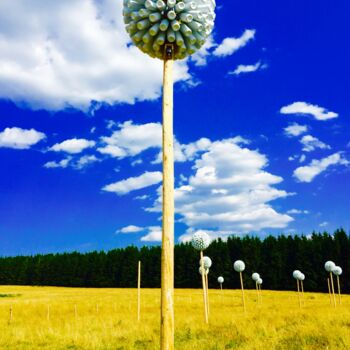 Photography titled "Tournesols" by Byoorg, Original Artwork, Digital Photography