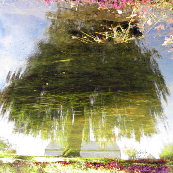 「Tree eleven -S1」というタイトルの写真撮影 C_cilによって, オリジナルのアートワーク