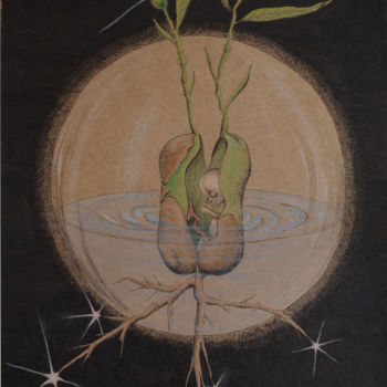 Dibujo titulada "Tuning into new Pot…" por Christine Porath, Obra de arte original, Tinta
