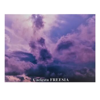 Photography titled "Protection divine" by Caelesta Freesia, Original Artwork, Non Manipulated Photography