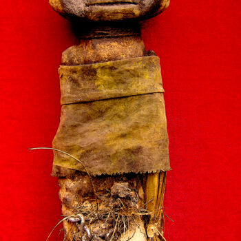 Sculpture intitulée "voodoo # 59" par Cambrousse, Œuvre d'art originale, Bois