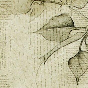 Scultura intitolato "memoria di una stag…" da Camilla Santi, Opera d'arte originale, Carta