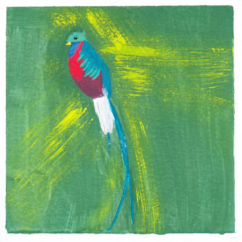 Peinture intitulée "Quetzal Resplendiss…" par Cmh, Œuvre d'art originale, Gouache Monté sur Panneau de bois