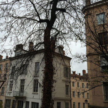 Photographie intitulée "L'arbre" par Camille R., Œuvre d'art originale, Photographie non manipulée