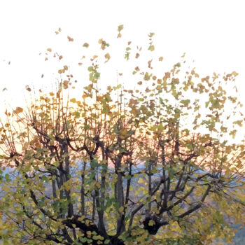 Photography titled "L'arbre d'or" by Camille R., Original Artwork, Non Manipulated Photography