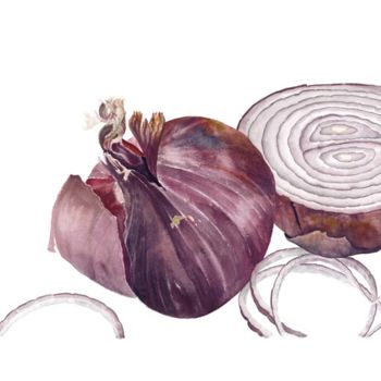 Painting titled "Red Onion" by Candace Bialczak, Original Artwork