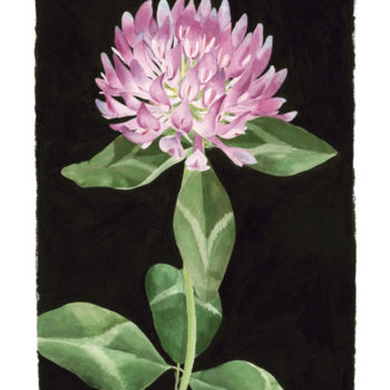 Painting titled "Red Clover" by Candace Bialczak, Original Artwork, Other