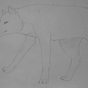 Drawing titled "Loup" by Cannelle Robert, Original Artwork, Other