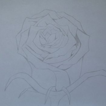 Dibujo titulada "Rose" por Cannelle Robert, Obra de arte original, Otro