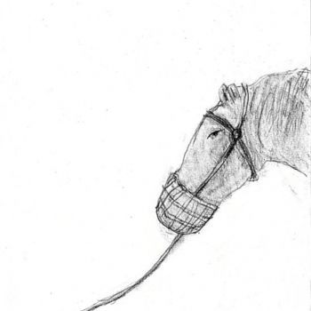 图画 标题为“caballo” 由Enrique Carceller Alcón, 原创艺术品, 其他