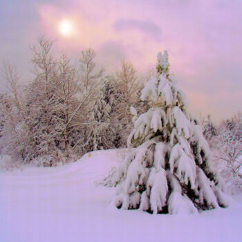 Photography titled "Féérie de l'hiver" by Carl Legault, Original Artwork, Digital Photography Mounted on Wood Stretcher frame