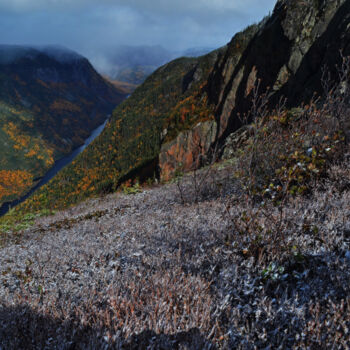 Photographie intitulée "Hautes gorges" par Carl Legault, Œuvre d'art originale, Photographie numérique Monté sur Châssis en…