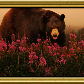 Photographie intitulée "Black Bear" par Carl Legault, Œuvre d'art originale, Photographie numérique Monté sur Châssis en bois