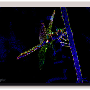 Photography titled "Libellule" by Carl Legault, Original Artwork, Digital Photography Mounted on Other rigid panel