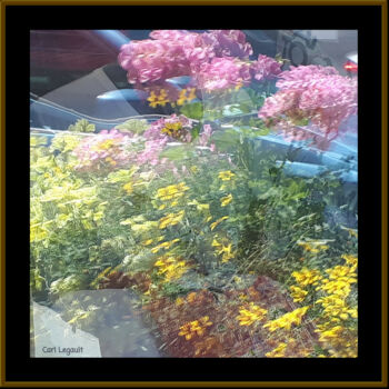 Photography titled "Flowers in the wind" by Carl Legault, Original Artwork, Digital Photography