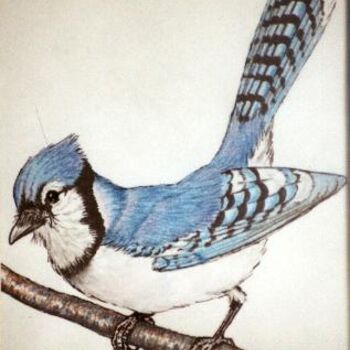 Peinture intitulée "Blue Jay" par Carla J Connelly, Œuvre d'art originale, Huile
