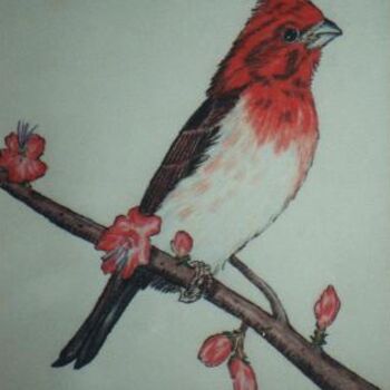 Painting titled "Finch" by Carla J Connelly, Original Artwork, Oil