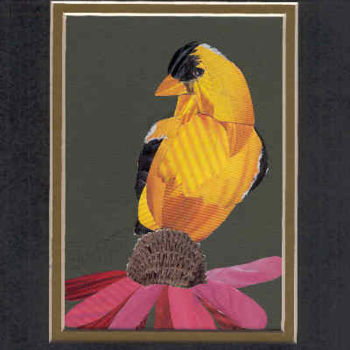 Painting titled "Gold Finch" by Carla J Connelly, Original Artwork