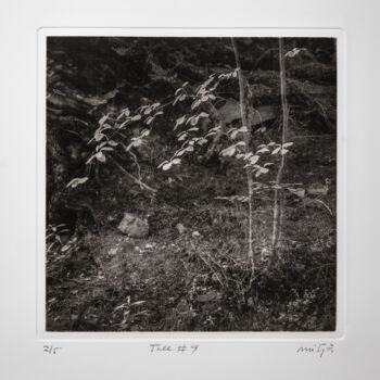 Printmaking titled "Tree #9" by Carles Mitjà, Original Artwork, Etching