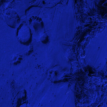 Фотография под названием "Shipwreck" - Carlos Canet Fortea, Подлинное произведение искусства, Цифровая фотография