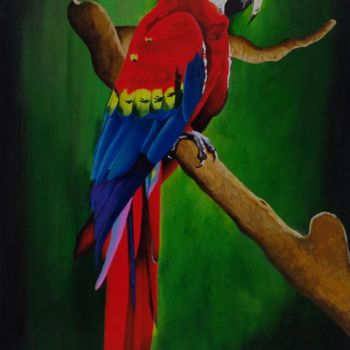 Painting titled "Arara" by Carlos Marley Carlos Deuzilayne, Original Artwork