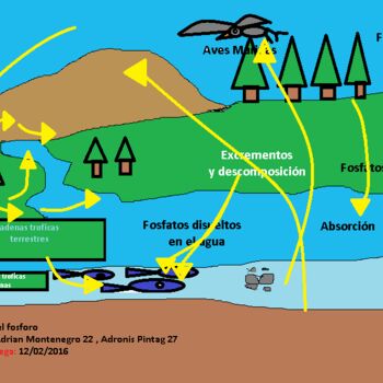 Ciclo-Del-Fosforo.png, Painting by carlos17toapanta | Artmajeur