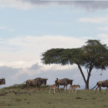 Fotografie getiteld "paisaje-africano-12…" door Carlos Garcia Calviello, Origineel Kunstwerk