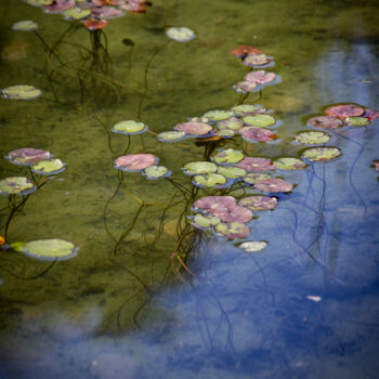 Photography titled "Balade sur le lac e…" by Carmen Lazarescu, Original Artwork, Digital Photography