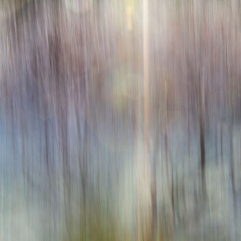 Photographie intitulée "Vibrance, Forêts my…" par Carole Reboul, Œuvre d'art originale