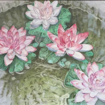 Desenho intitulada "Pond lilies" por Carole Mcalpine, Obras de arte originais, Lápis