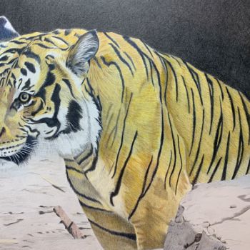 Dessin intitulée "Tiger Tiger #artist…" par Carole Mcalpine, Œuvre d'art originale, Crayon