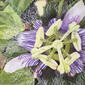 Dessin intitulée "Passionfruit Perfec…" par Carole Mcalpine, Œuvre d'art originale, Crayon