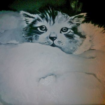 Pittura intitolato "gatto olio su tela" da Carolina Paoletti, Opera d'arte originale