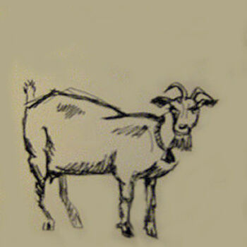 图画 标题为“Goat” 由Carolyn   A. Debnam, 原创艺术品, 墨 安装在木质担架架上