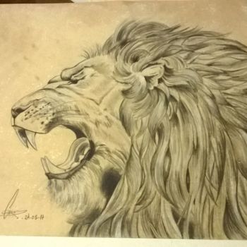 Drawing titled "Lion" by Carolina Velazquez, Original Artwork, Pencil